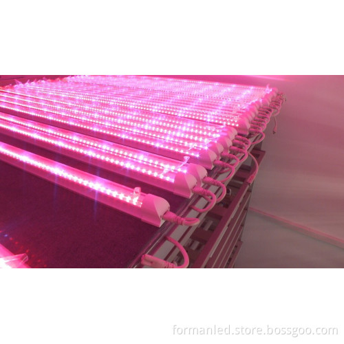 T8 LED integration Grow Lights Fill light